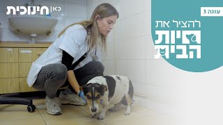 להציל את חיות הבית 3 🐶 | ללני המתוק יש גוף זר בבטן? - הצצה מתוך פרק 1