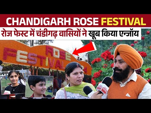 हर बार की तरह इस बार भी बेहद खास है Rose Fest, चंडीगढ़ वासियों ने किया खूब एन्जॉय, बोले- हर 6 महीने