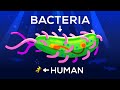 Exploring the Size Limits of Bacteria