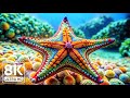 Mystic Reefs 8K - Vibrant Sea Creatures and Calming Ocean Sounds