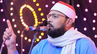 المبتهل الشيخ محمد أبوسريع | الليلة المحمدية إحتفالاً بميلاد خير البرية ﷺ أشليم ـــــ قويسنا 2025
