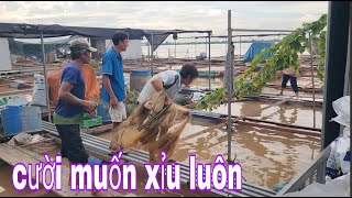 Cười Xỉu Chài Cá Phi Trong Bè Nuôi Nấu Canh Chua Bắp Chuối Quá Ngon # SĂN BẮT ĐỒNG THÁP #