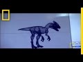 Discoveries in Paleontology