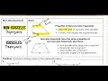 Understanding Trapezoid Properties