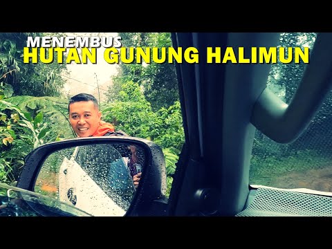 SELAMAT TINGGAL GUNUNG HALIMUN II GELAR ALAM