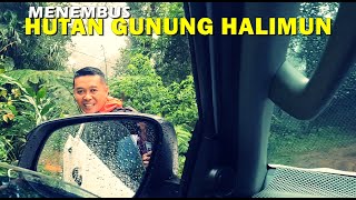 SELAMAT TINGGAL GUNUNG HALIMUN II GELAR ALAM
