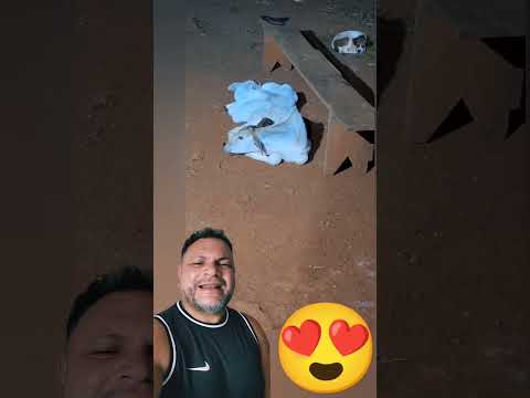 a cena mais linda que você vai ver hoje 😍😍😍😍😍 #react #reaction