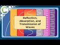 Wave Interactions and Material Properties