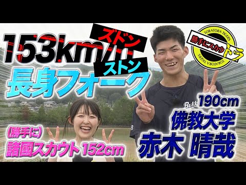 【ドラフト直前】佛教大・赤木　ブレーク必至のポテンシャルお化けに突撃！諸國スカウトもびっくりのギャップとは⁉︎