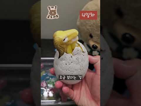 추억의 공룡알 키워보셨나요?
