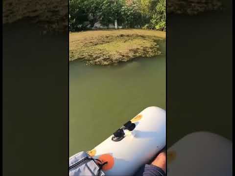 #funnyvideo #funneyanimal #funnyanimal #funny #funnyanimlas #funnyfish #ตกปลา