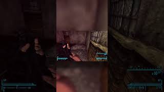 Dead Money Survival Horror  #fallout