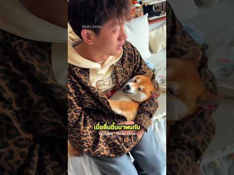 เขาเสียใจทั้งวัน แต่สุนัขก็ไม่ฟื้นกลับมา