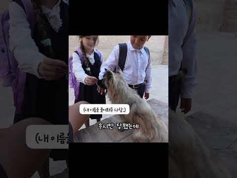 형님의 눈물 🥲 #shorts