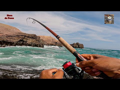 El mejor señuelo para lenguado en zona de rocas. || What is the best bait for rock areas?