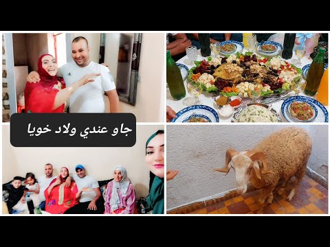 شريت🐏 الحولي جاو عندي ولاد خويا العائلة كلها فرحات تجمعات جاو عندي وفرحت بيهم وكبرت بيهم 👌