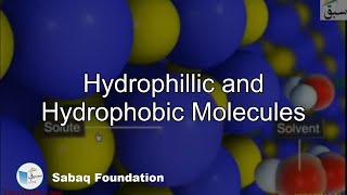 Hydrophillic and Hydrophobic Molecules