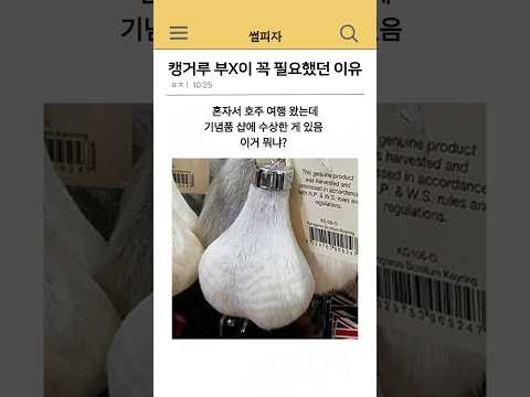 캥거루 X랄이 필요했던 이유