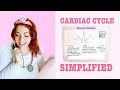 Understanding the Cardiac Cycle