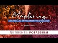Potassium's Role in Plant Nutrition