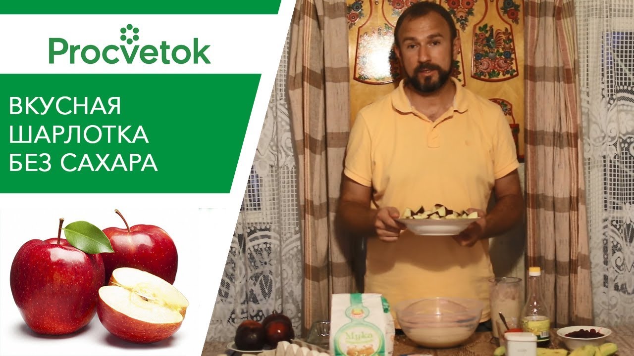 Шарлотка с яблоками без сахара простой и полезный рецепт яблочного пирога!