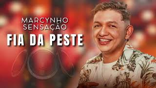 BRIGUEI COM A MULHER POR CAUSA DO PAREDÃO - FIA DA PESTE - MARCYNHO SENSAÇÃO PISEIRO