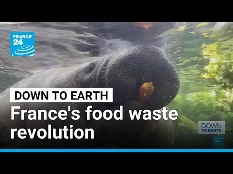 YouTube video thumbnail: Eggs, Zoos and Tech at the Heart of France’s Food Waste Revolution