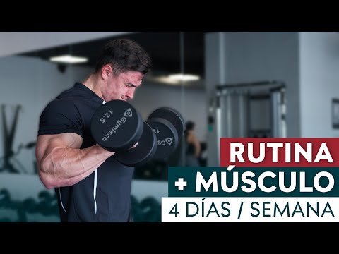 La Rutina de 4 Días en GYM Que DUPLICARÁ Tu Masa Muscular!