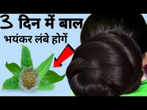 रूखे सूखे बेजान बालों में भी डाल देगा एक नई जान - 100% नए बाल उगाएँ DIY Powerful Hair Growth Remedy