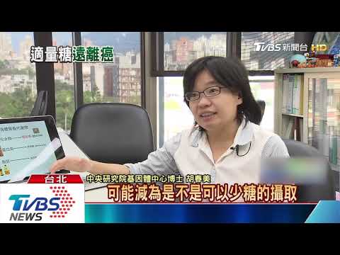 胰臟癌元兇！中研院首度證實是「糖」造成 - YouTube