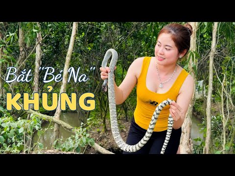 Đột Nhập Vườn Hoang Bắt Hai Bé Na Khủng