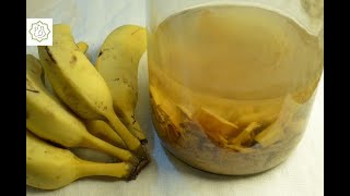 Vinagre de Banana - Chef Ana Lemgruber (2020)