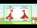 Understanding Gender in Nouns