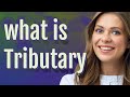 Understanding Contributory Concepts