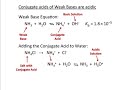 Understanding pH and Acid-Base Relationships