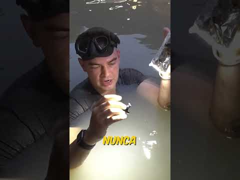 Encontró el pendiente de $50,000 que Speed perdió…