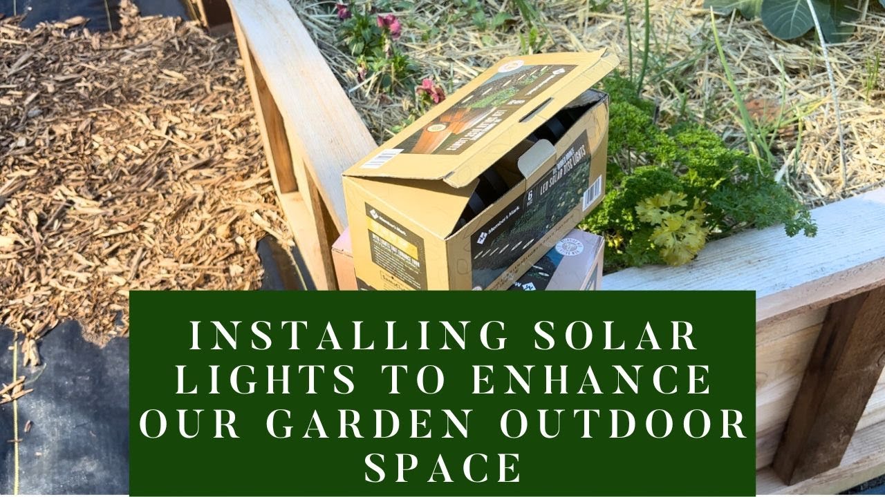 DIY Garden Glow| Installing Solar Lights To Enhance Our Garden Outdoor Space