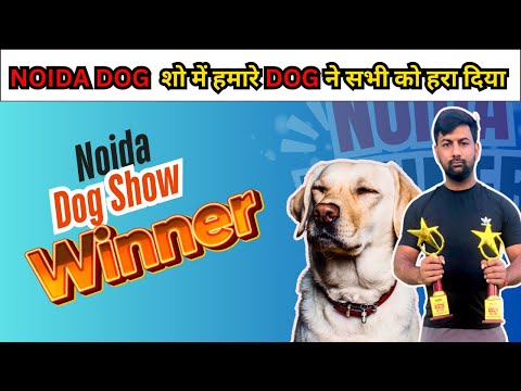 नोएडा डॉग शो में सब को हरा दिया हमारे Dog 🐕 ने ! First Ring win Gold.Raja @Ankit.dog.kennel