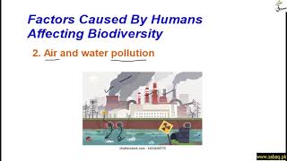 Factors Caused by Humans Affecting Biodiversity