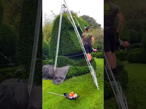 Satisfying Gardening Work 🌳 #garden #gardening #satisfying #cleaning  #grass #lawn #viral #fyp #29