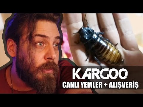 KARGO AÇILIMI - GIMIL GIMIL DEV BÖCEKLER VE ALIŞVERİŞ / BESLEME