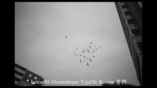 Leica M Monochrom typ246 購入レビュー作例紹介 1か月間使ってみた感想 ライカMモノクローム CCDではなくCMOS おすすめM型ライカ