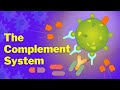 Complement System Pathways and Functions