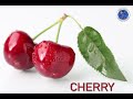 Identifying Fruits and Their Terms
