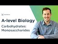 Exploring Monosaccharides in A-level Biology