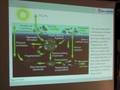 Midwater Food Webs and Their Dynamics