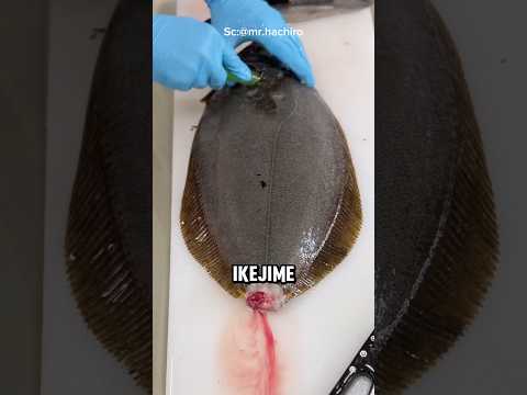 The Art of Japanese Fish Cleaning for Culinary Perfection😍 #sashimi #yakitori #food #japan #shorts