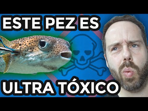 SÍ, HAY QUÍMICA EN EL MAR