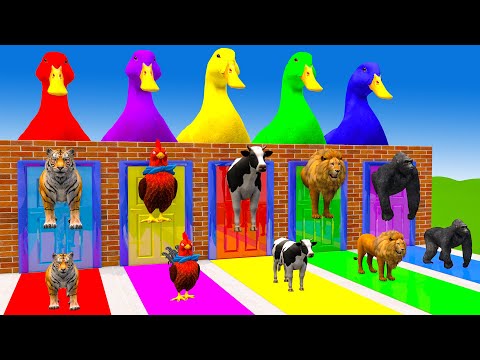 Long Slide Game With Elephant Gorilla Buffalo Hippopotamus Tiger - 3d Animal Game - Funny 3d Animals