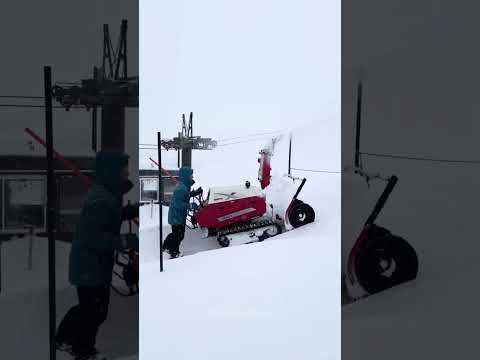 snow in japan! #shorts